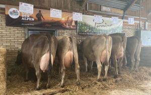 ZF Jongwin JUBRA Albert Markus Alpnachstad A75